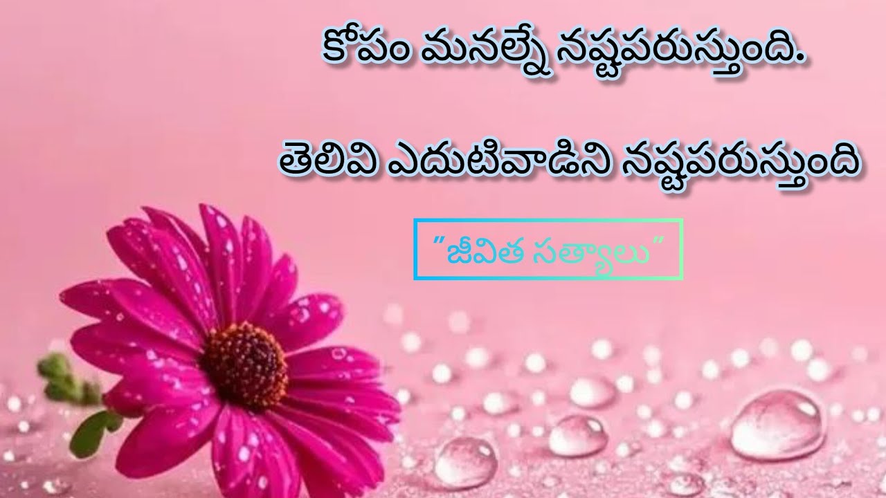 కోటీశ్వరులు కావడం అందరికీ సాధ్యం కాదు కానీ?