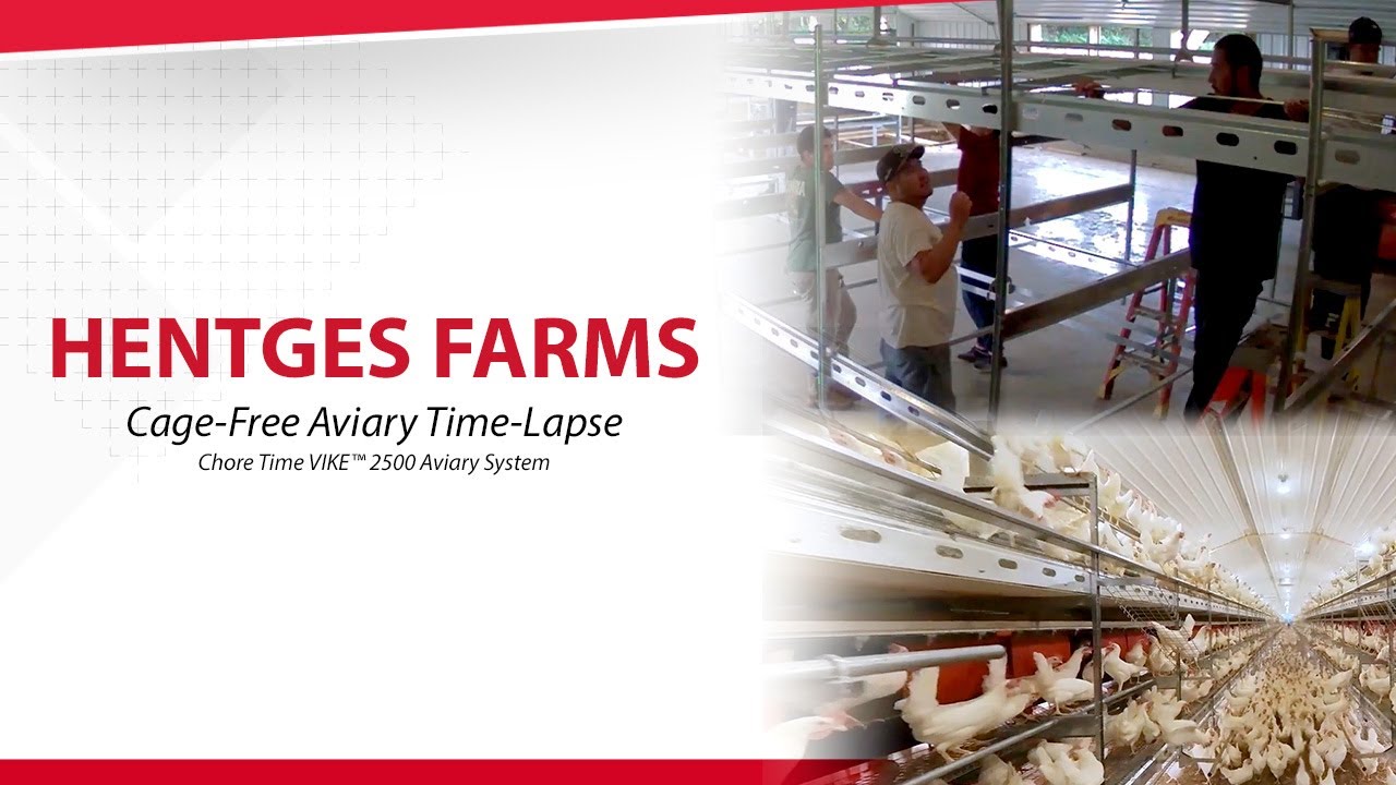 Chore-Time VIKE™ 2500 Aviary System - Hentges Farms Cage-Free Aviary Time-Lapse Video