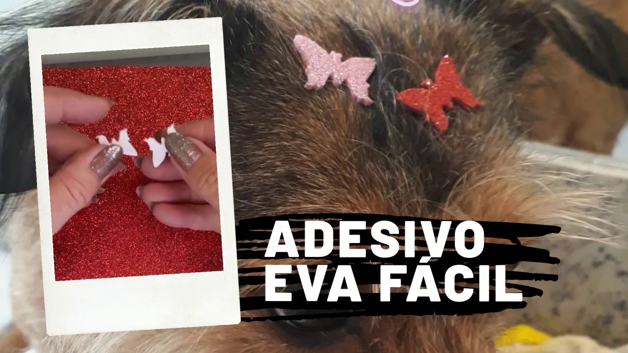 Como fazer adesivo(aplique) para pet🐩 super fácil 😉