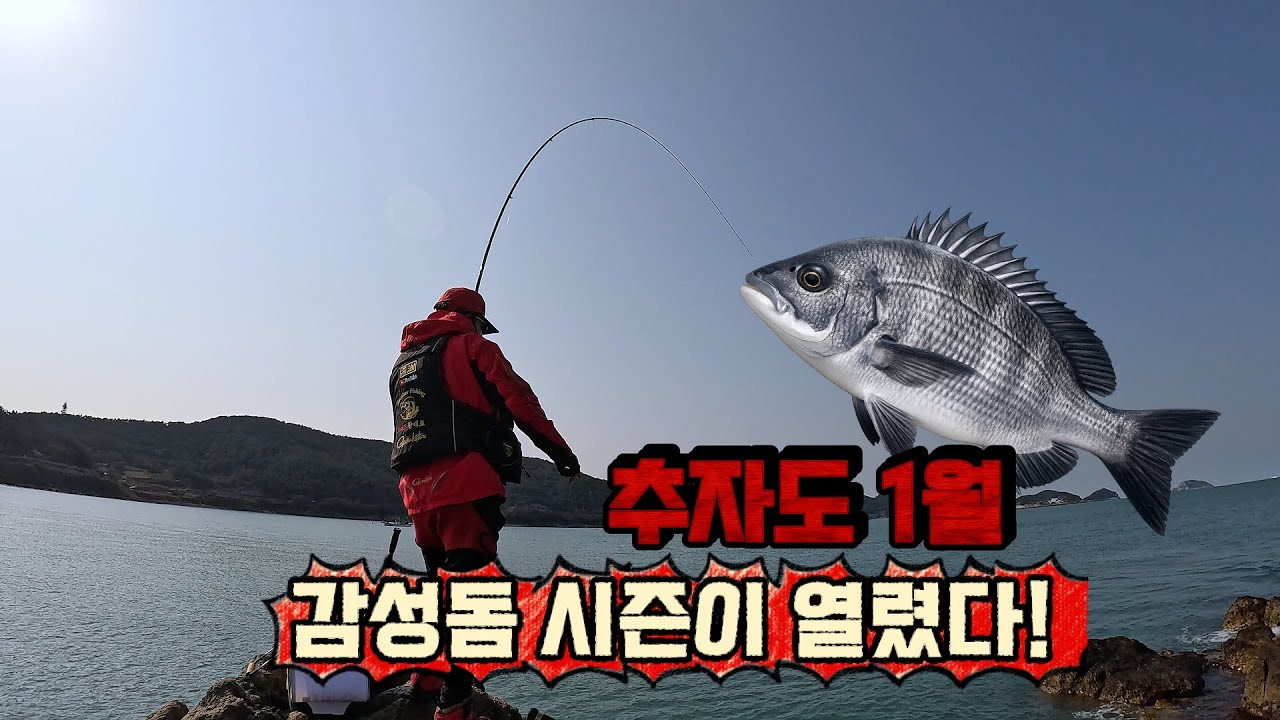 1월, 한겨울 추자도에서 만나는 감성돔