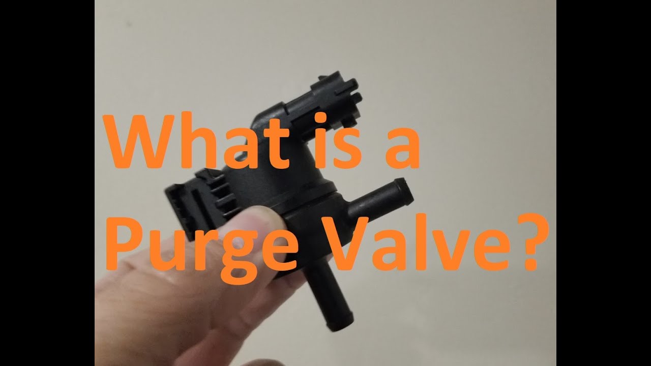 What Does a Purge Valve Do? (In 1-Minute)