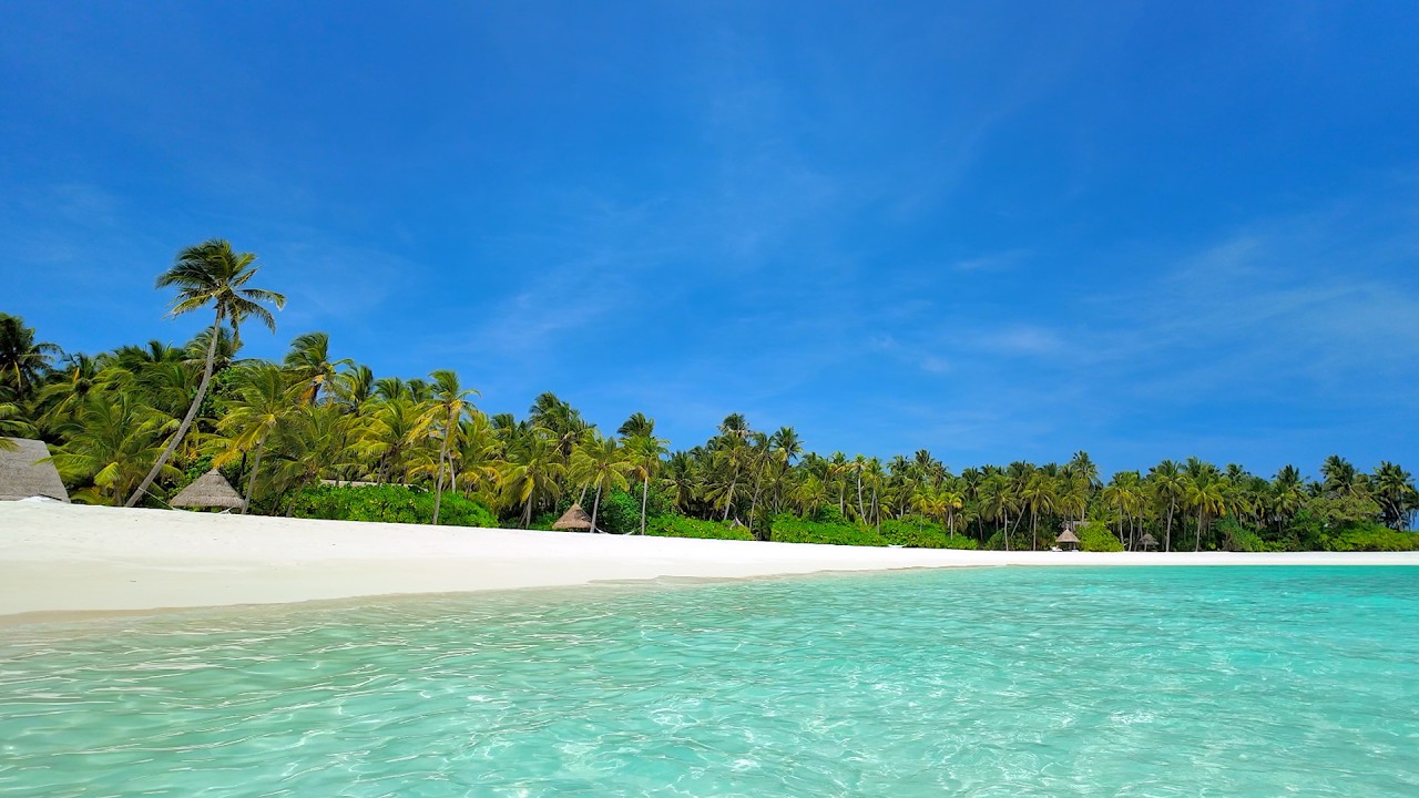 🏝 Paradise Found: Wild Beach and Crystal Ocean Waters. Relaxing Ocean video 4K Ultra HD