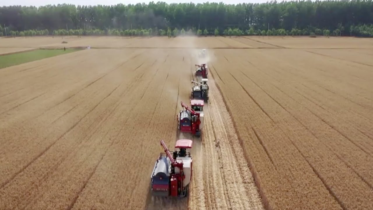 BeiDou Navigation Satellite System helps summer harvest in China