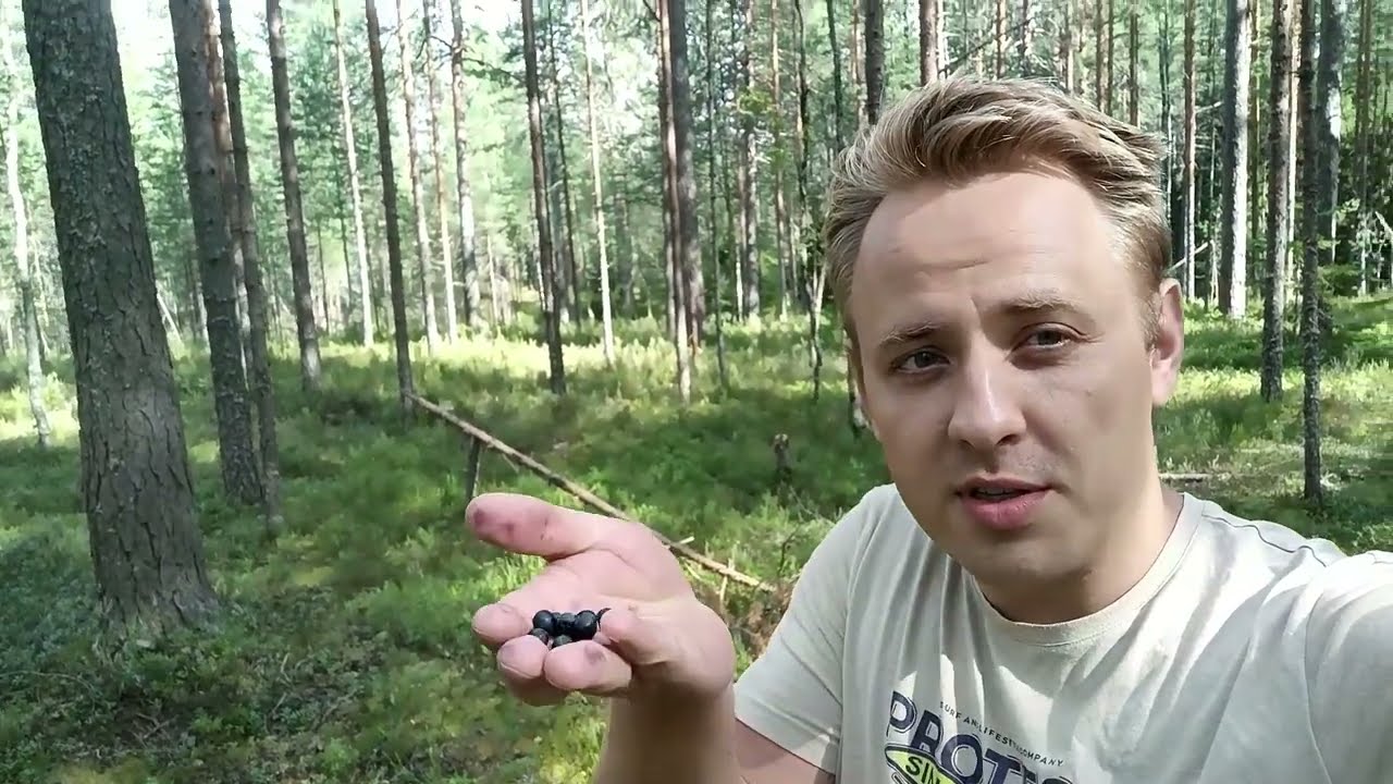 Черничная настойка на лесных ягодах, хорошей водке спирт альфа