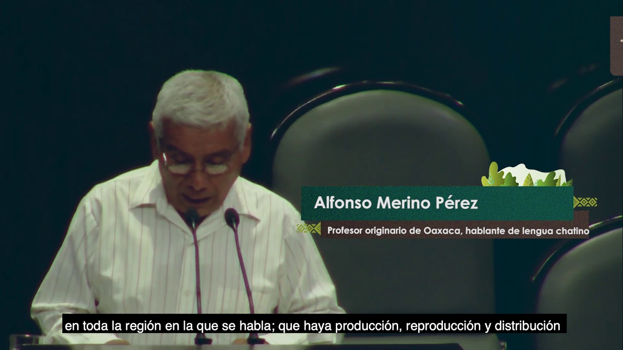 Intervención de Alfonso Merino Pérez, hablante de chatino.