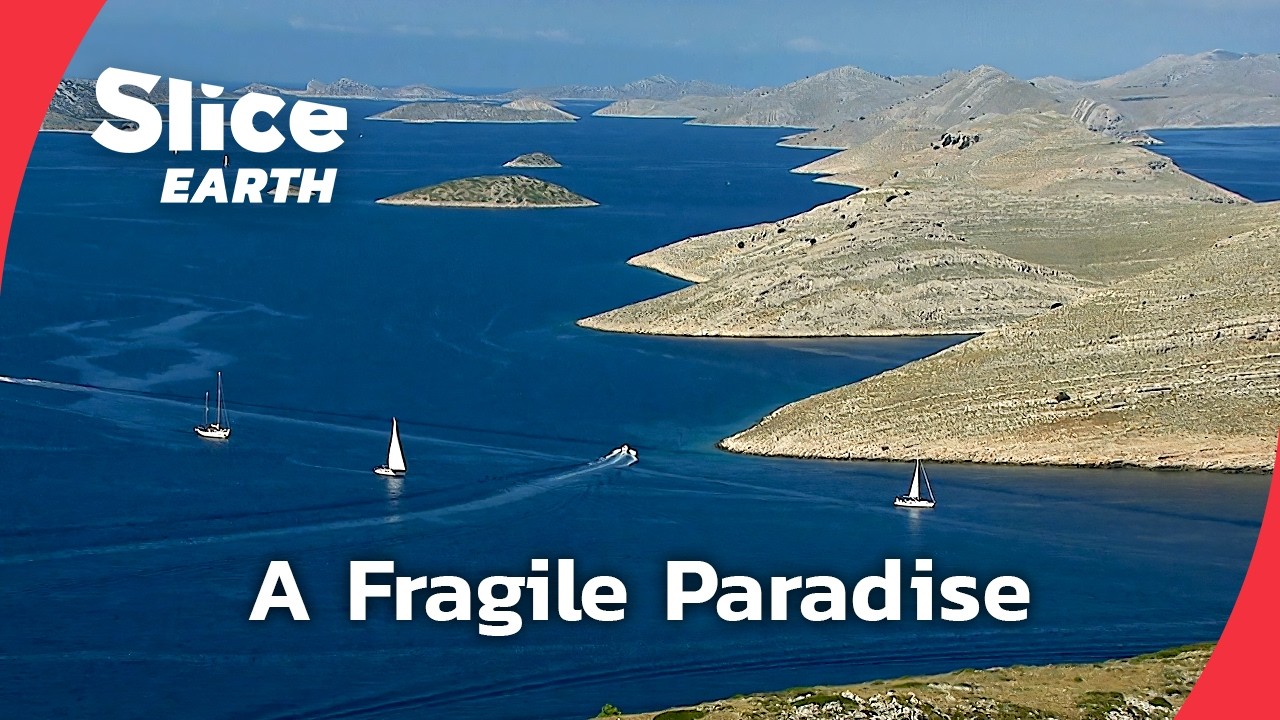 Balkan Coast: Protecting the Thousand Islands |&nbsp;SLICE EARTH | FULL DOC