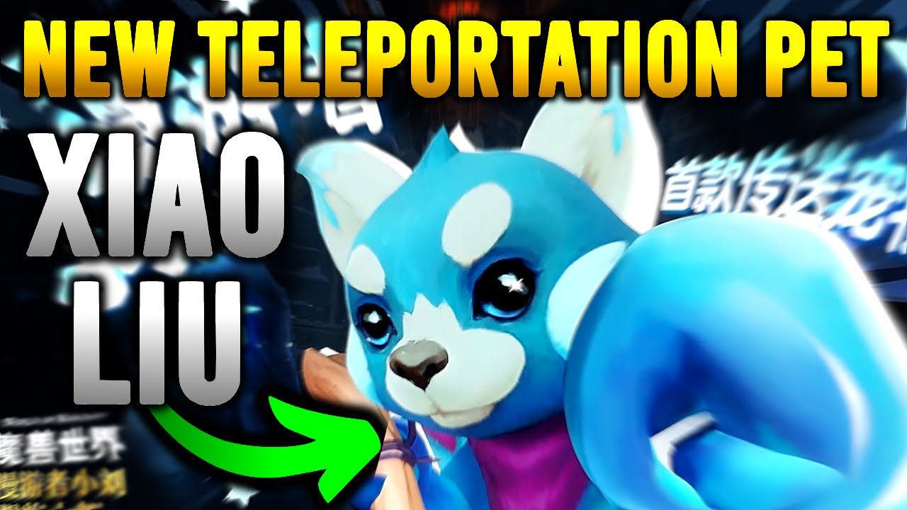 Meet the First Ever TELEPORTATION PET in World of Warcraft, Xiao Liu! | WoW TWW News
