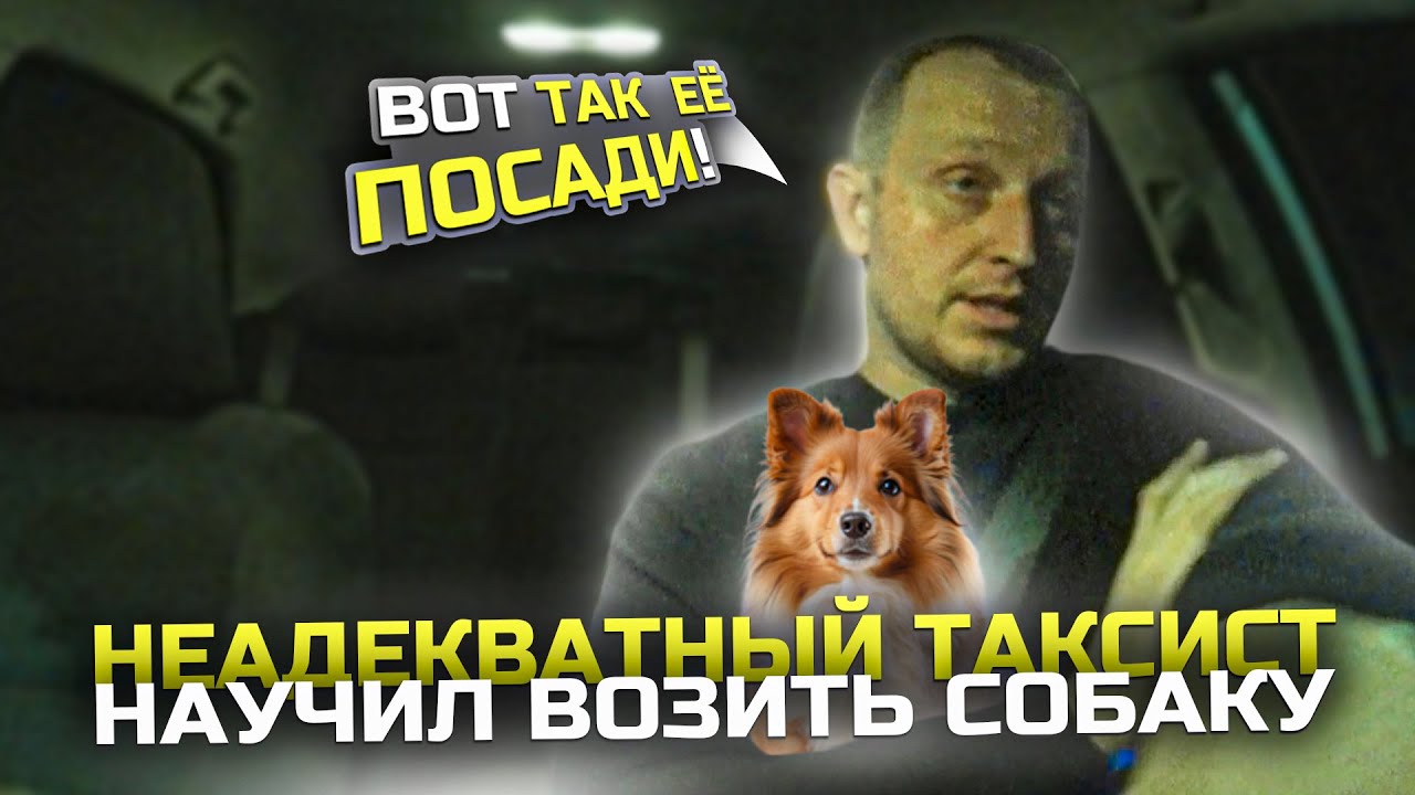 ПРОШУ ПАССАЖИРКУ МЕНЯ УСЫНОBИТЬ | ЖИBОТНЫЕ B ТАКСИ | ПЬЯНАЯ ХОЧЕТ ОТКРЫТЬ ОКНО