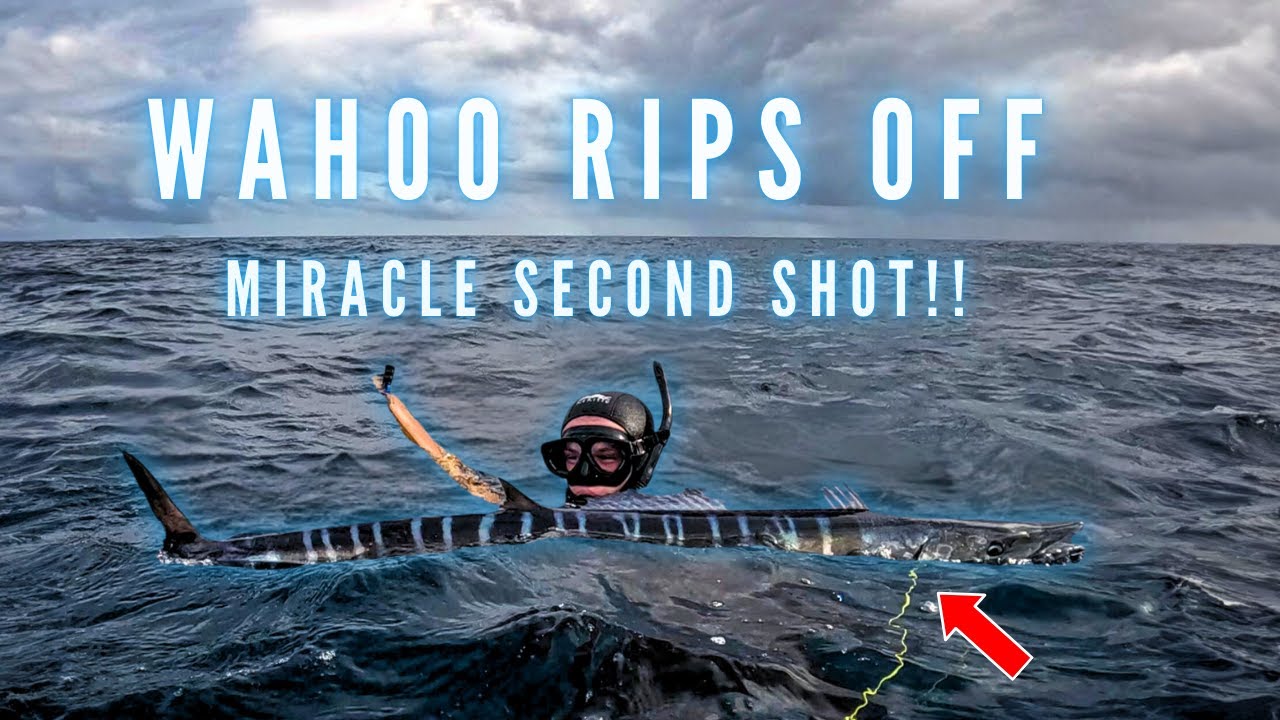 South Pacific Spearfishing | Wahoo Miracle | Jobfish | Walu