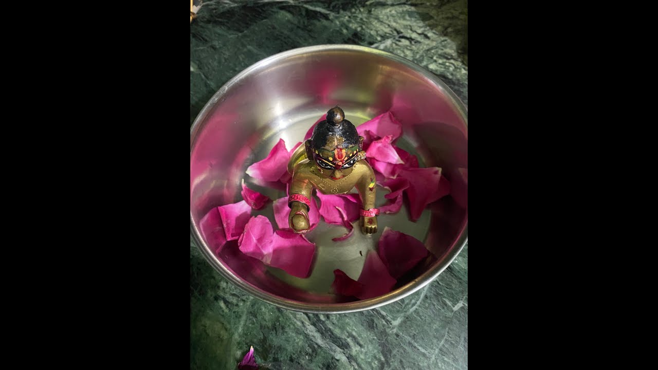 साईं कृपा  लाइव है! आप सभी का स्वागत है 🤗 बारम्बार 🌷🙏🥰