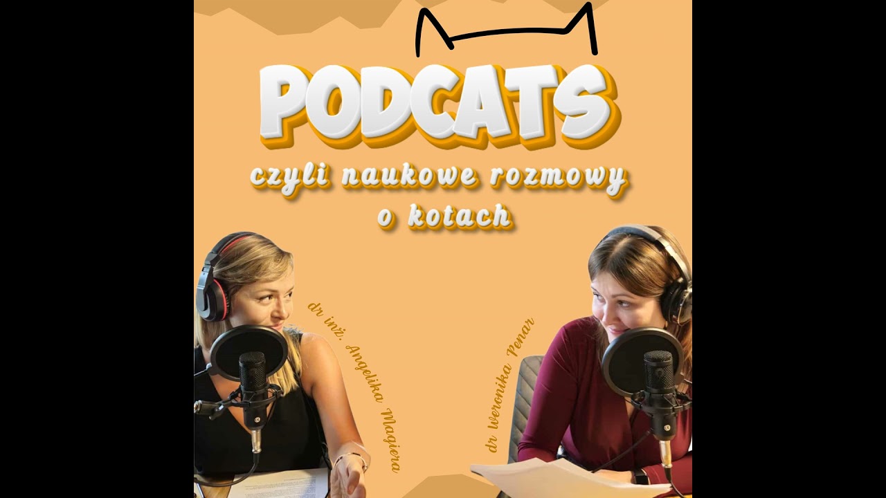 Holandia kontra koty: czy zakaz utrzymania niektórych ras to dobry pomysł?