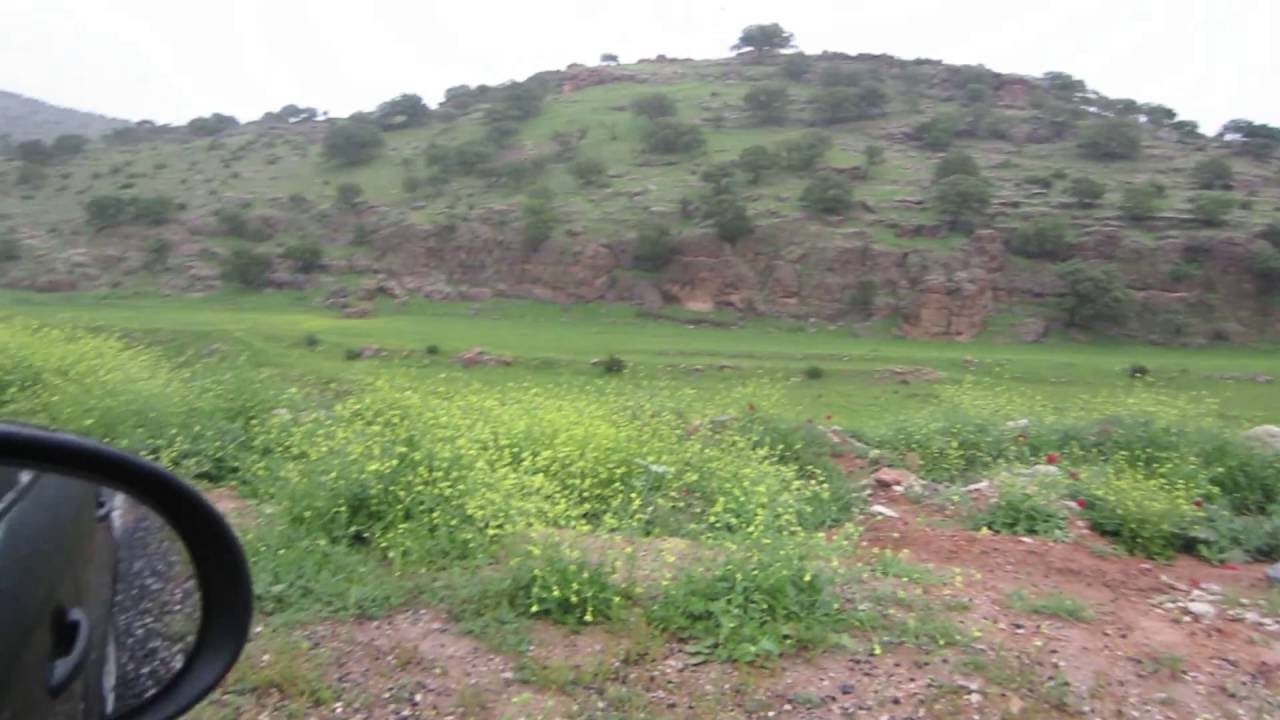 istilil / Akarsu - Nisan 2014