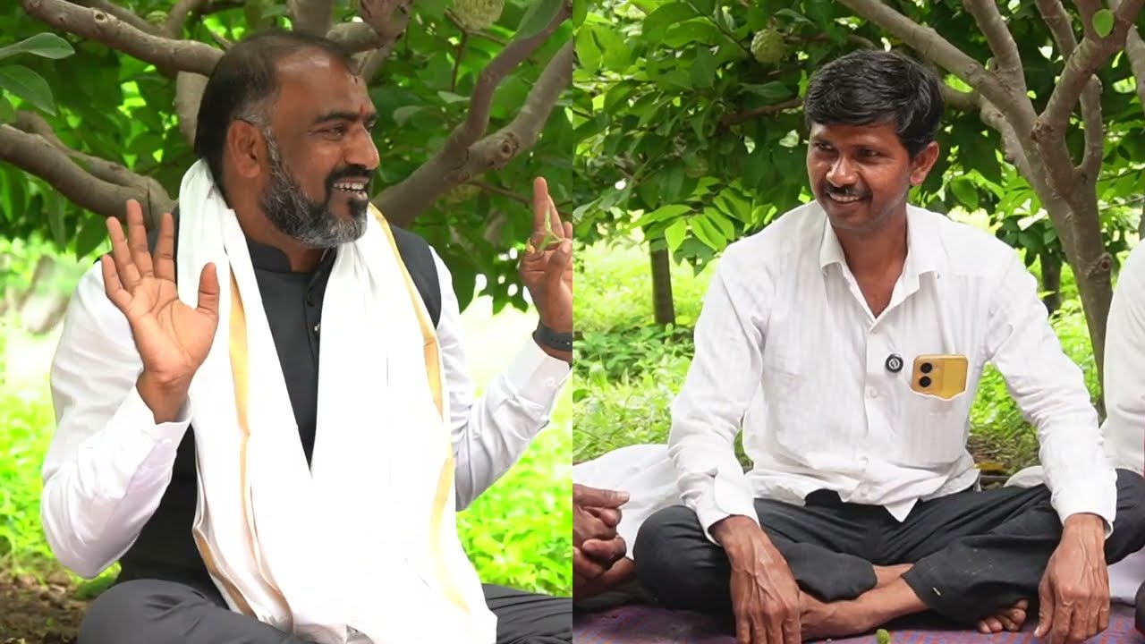 SCTवैदीक 3 बेसल डोसची कमाल अतिवृष्टी होऊनही सिताफळ मालामाल‼️सेटर ड्रीपचा यशस्वी प्रयोग‼️