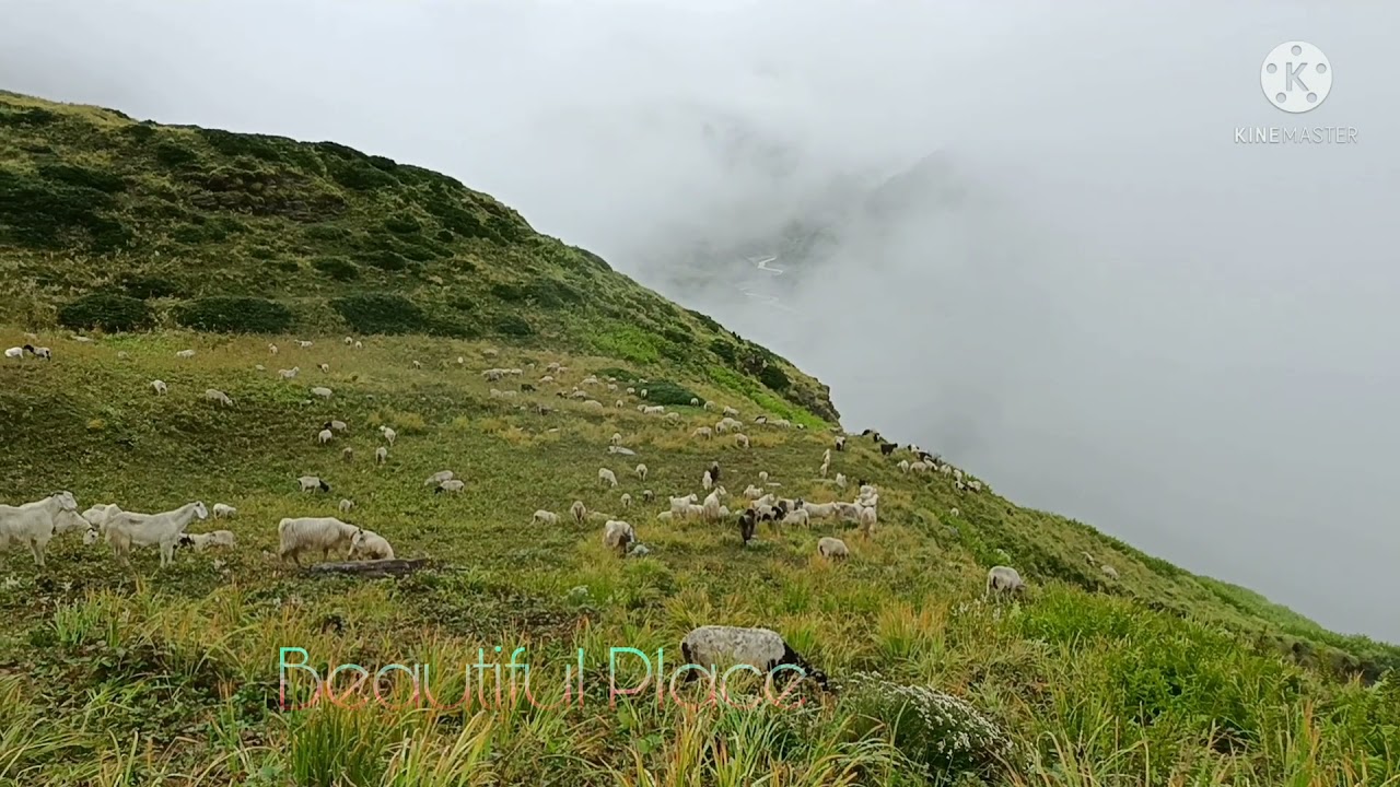 Marjhali place (Ralam glacier Uttrakhand)