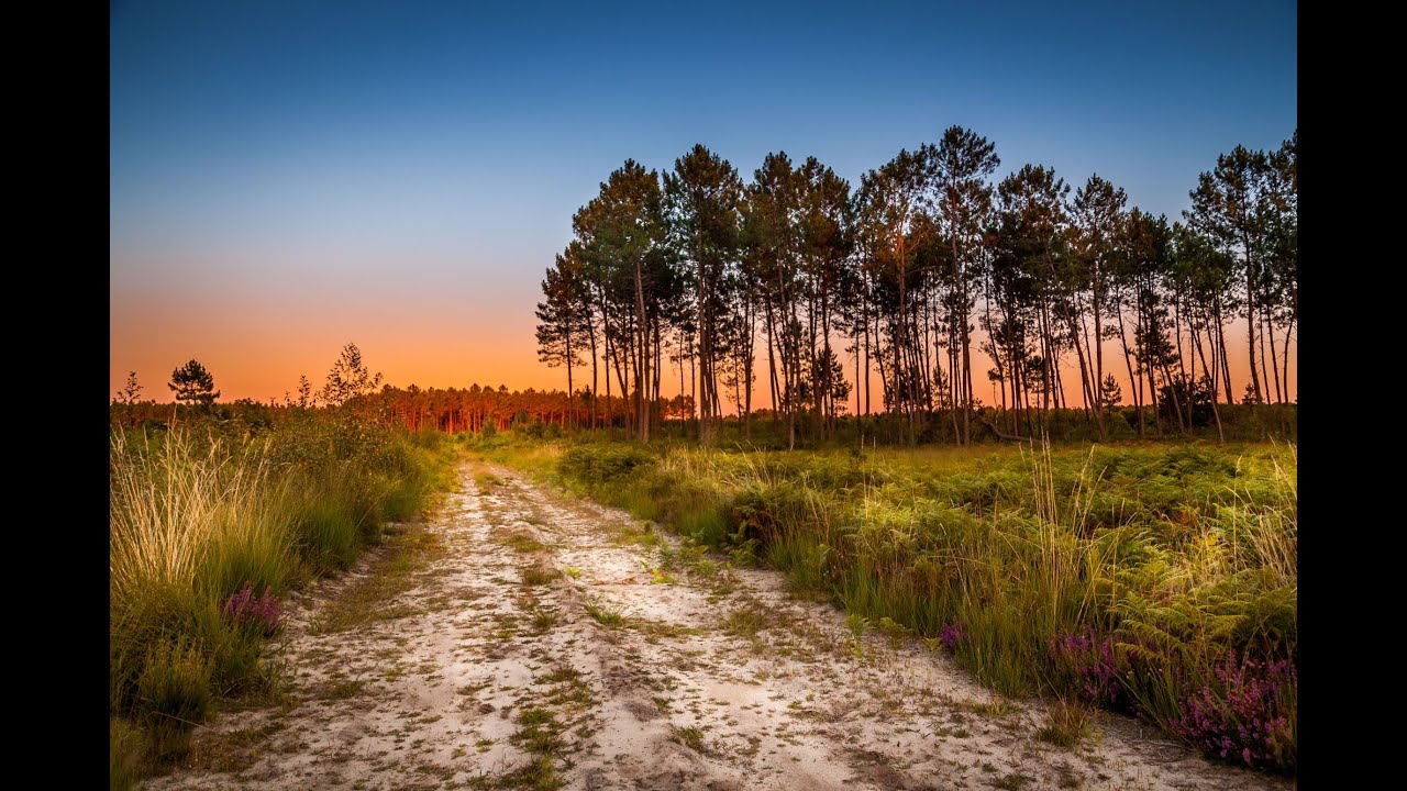 Create Color Depth in Landscape Photos - PLP #85 by Serge Ramelli