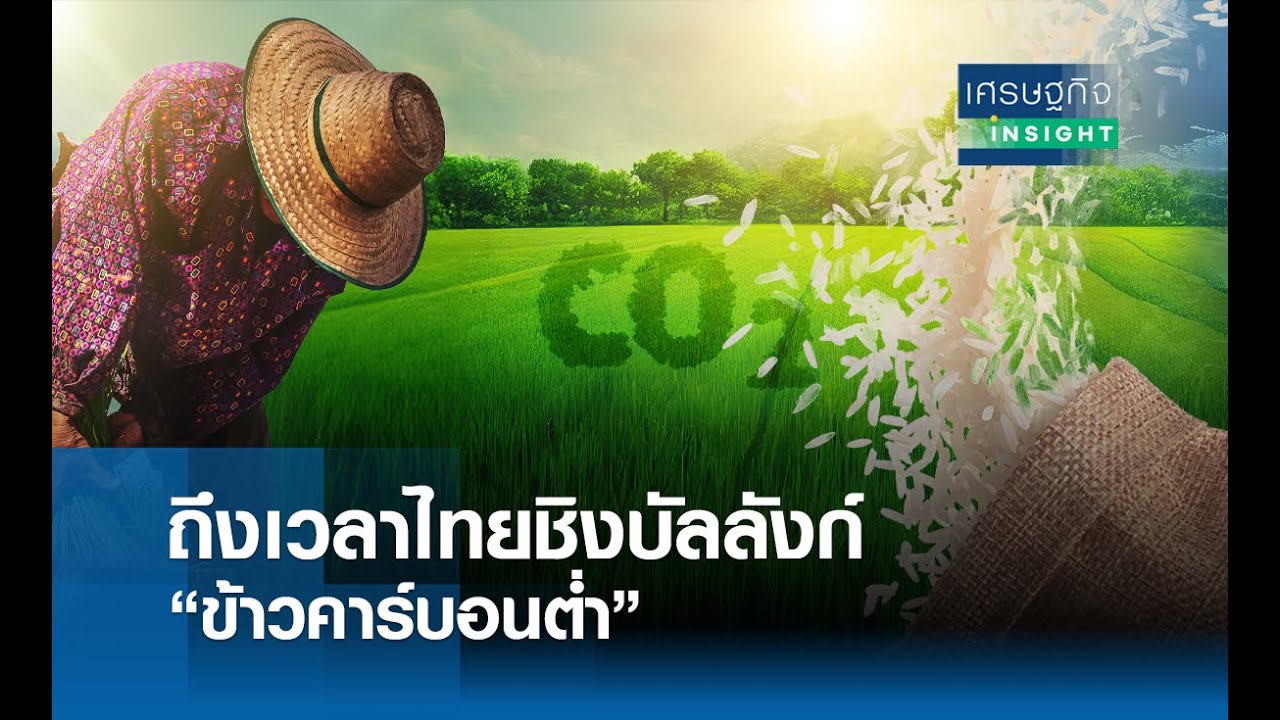 ถึงเวลาไทย ชิงบัลลังก์ “ข้าวคาร์บอนต่ำ” | เศรษฐกิจInsight 12พ.ย.67
