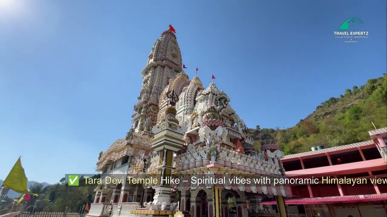 🌲 Explore the Best Hiking Trails Around Shimla! 🥾🏞️