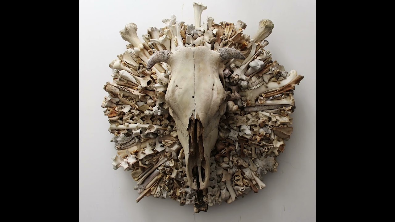 Bone and Ash - The Black 