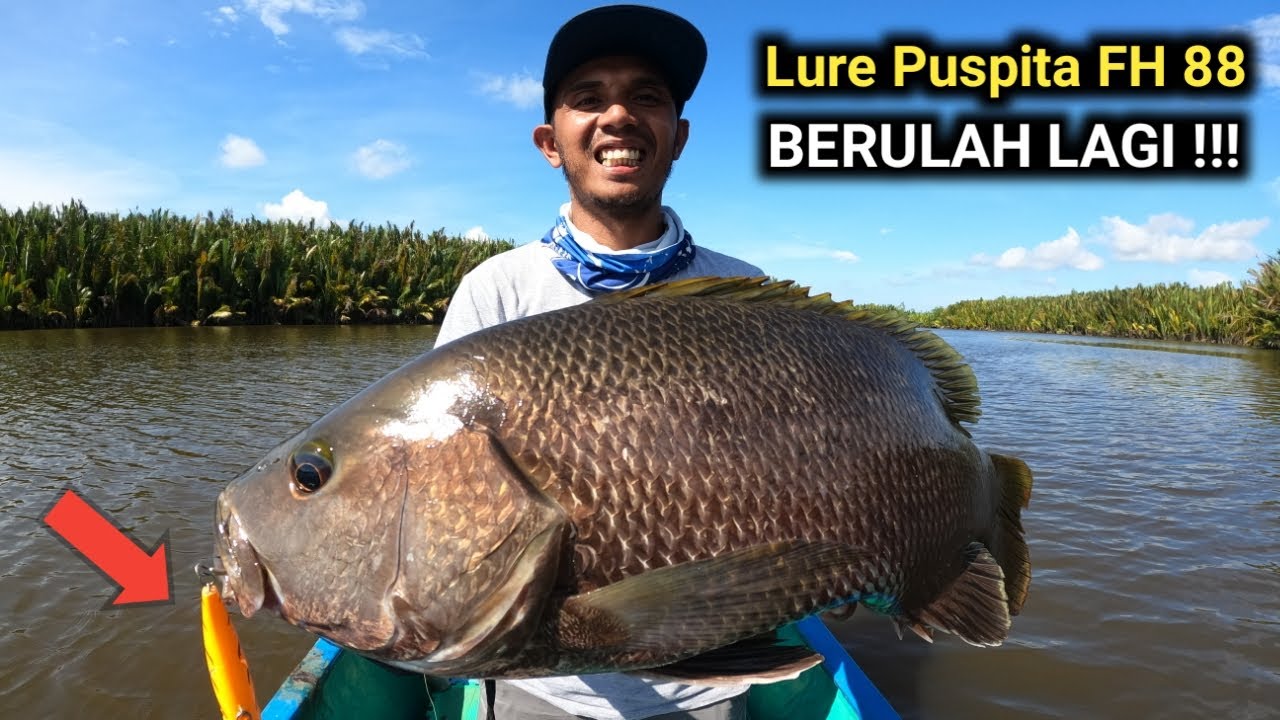 LAGI LAGI !!! Mancing Trolling Di Muara Pakai Lure Puspita FH 88 Strike Ikan Kakap Besar (BlackBass)