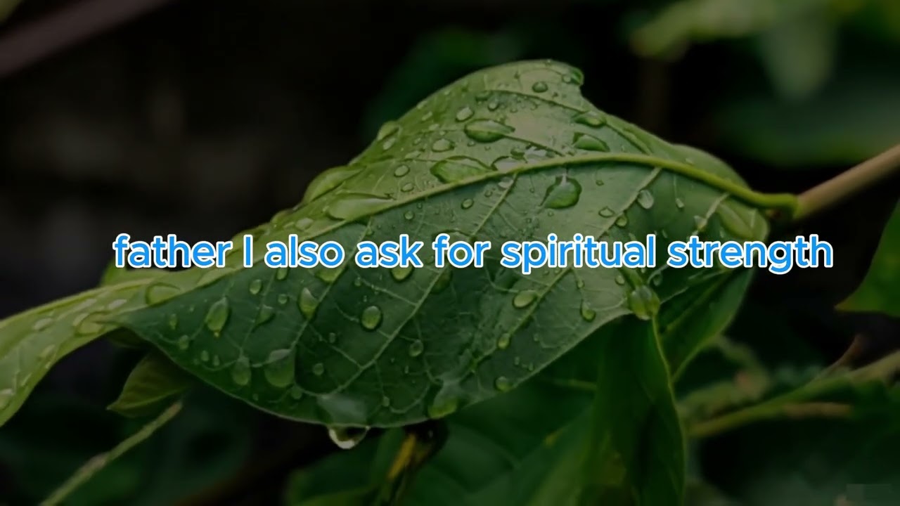 #Morning Prayer to start your day with