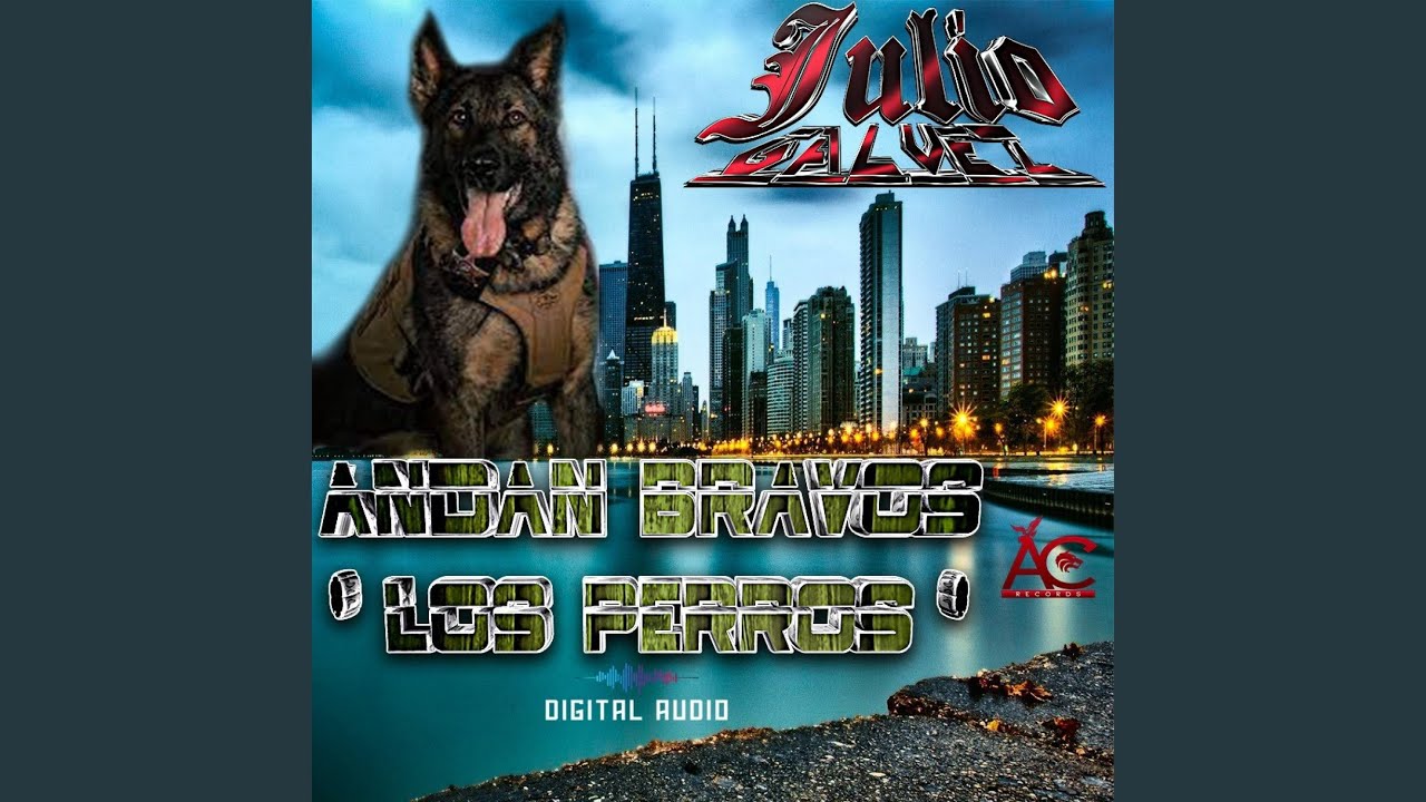 Andan Bravos los Perros
