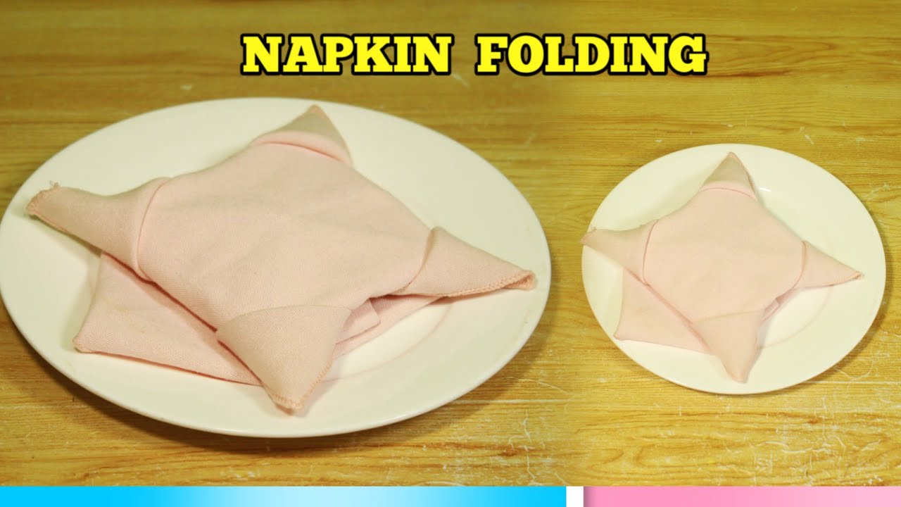 TURTLE TABLE NAPKIN FOLDING