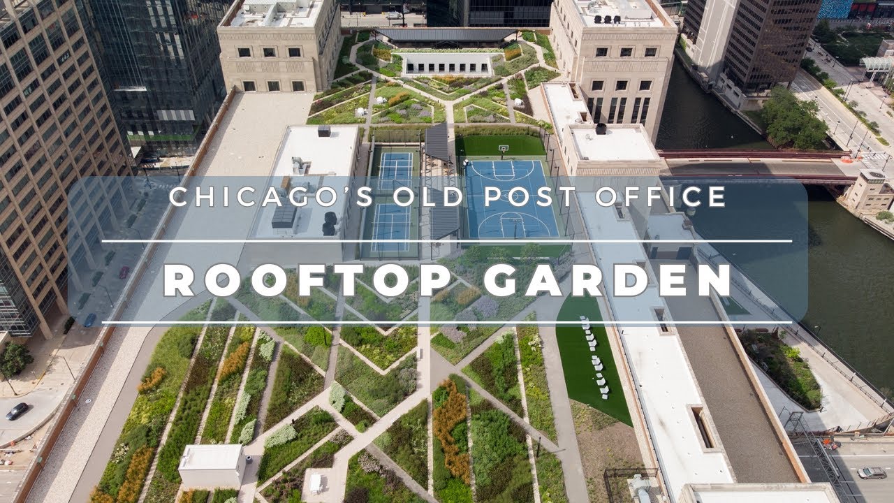 Chicago's Old Post Office Rooftop #Chicago #postoffice #rooftop #rooftopgarden #beehive