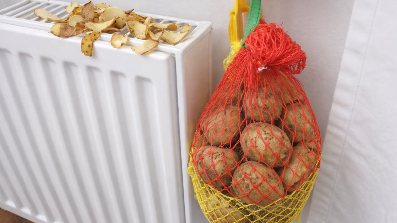 Nie wyrzucaj obierek do kosza! Powieś je na kaloryferze, a wiosną mi podziękujesz