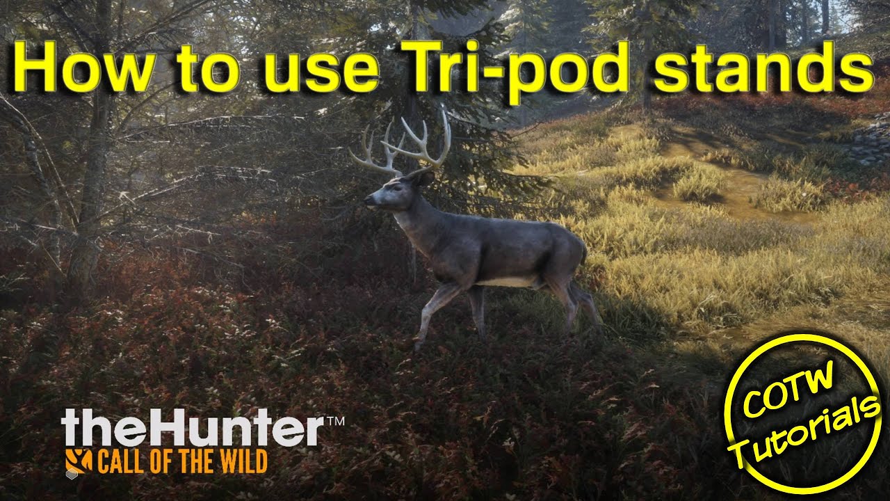 theHunter  Call of the Wild - How to use Tri-pod stands