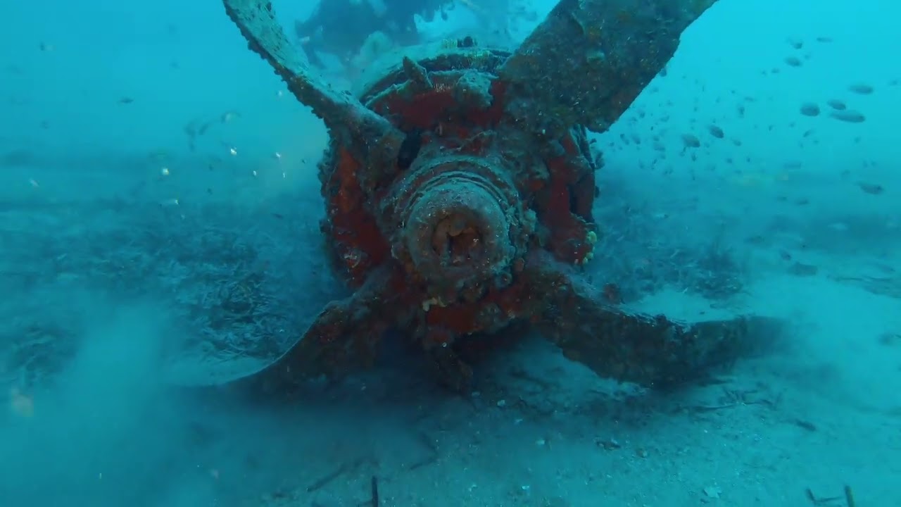 Le P51 Mustang Presqu'île de Giens le 16 05 2024