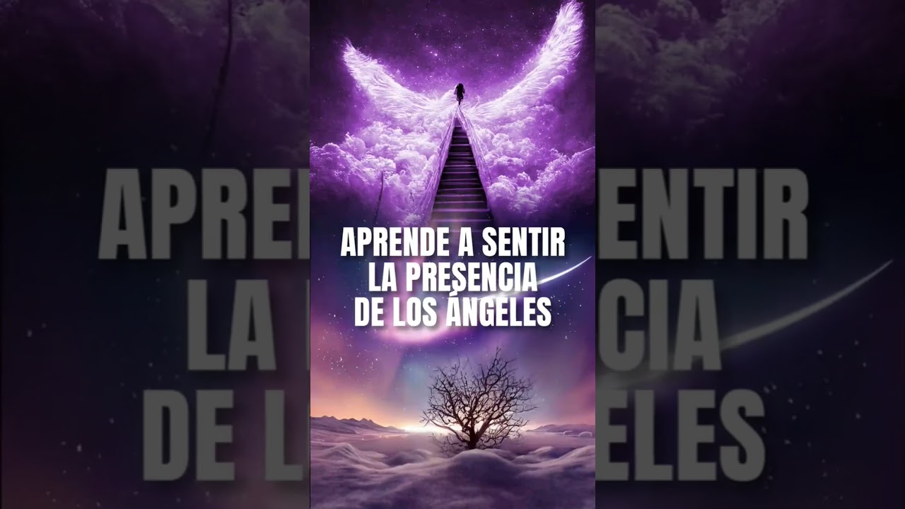 Aprende a sentir la Presencia de los Angeles. #espiritualidad #angeles #canalizacion