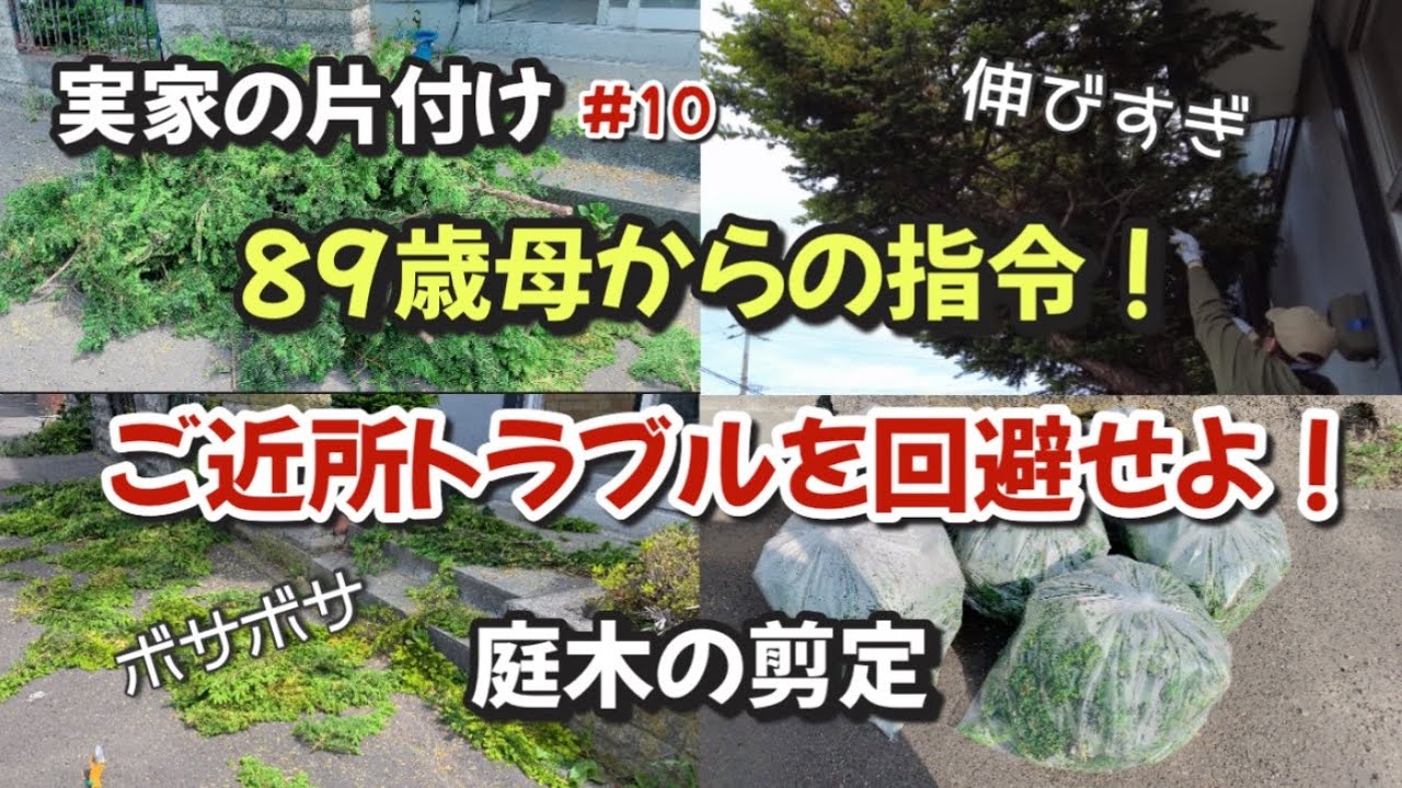 【実家の片付け/捨て活】#10  伸び放題！歩道にはみ出した庭木の剪定【50代主婦/断活/掃除/整理整頓】