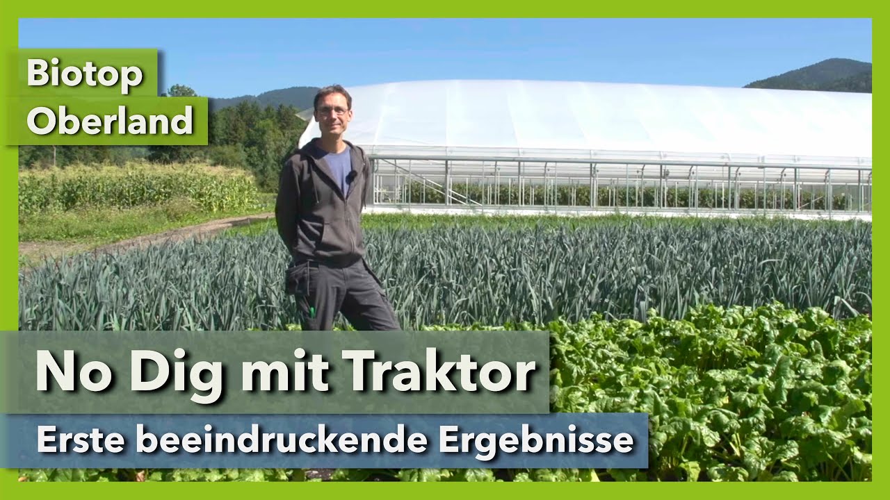 No Dig Market Garden mit Traktor - Erste Ergebnisse | Biotop Oberland | Rundgang 7 | 2021