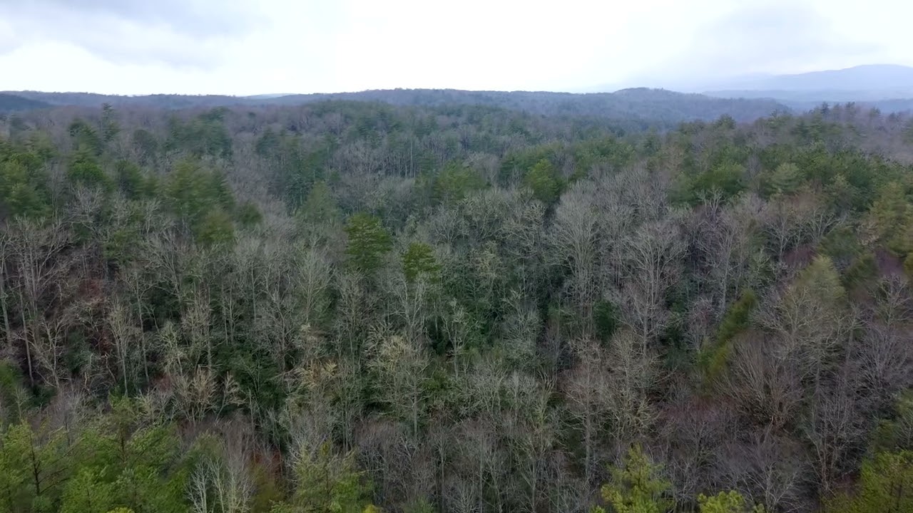 Oconee 0026 0001