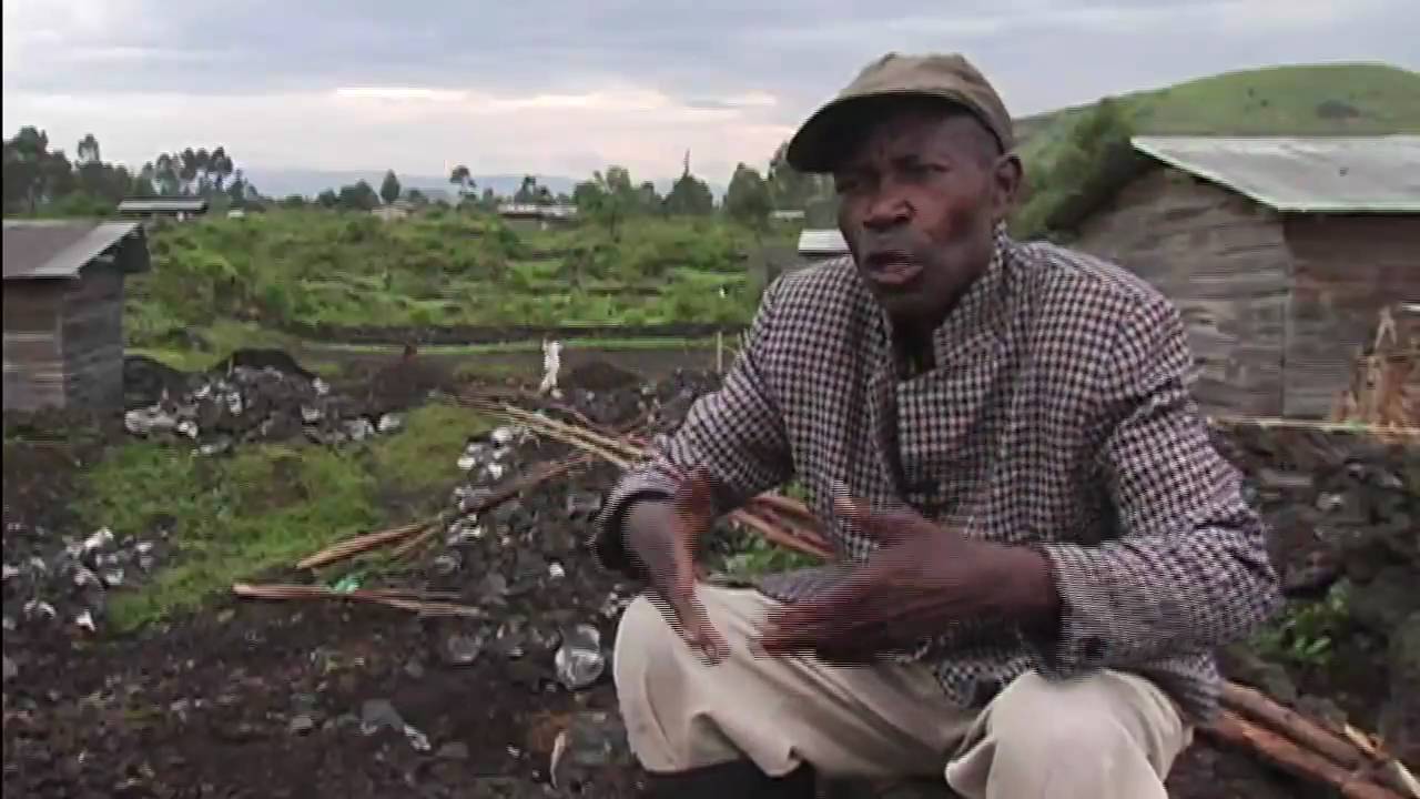 World Focus: Rape as A Weapon of War in Congo