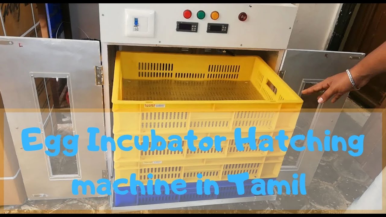 Egg incubator hatchery machine in Tamil