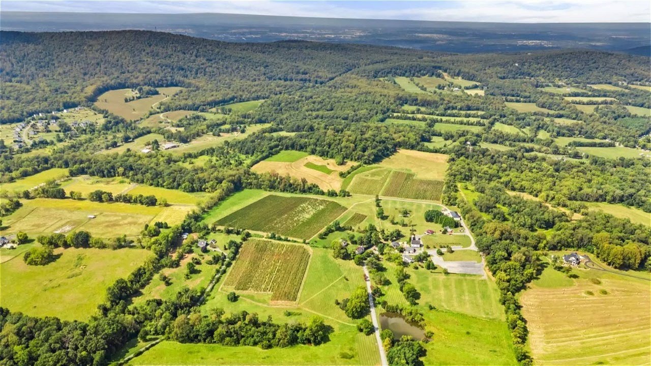 Virginia Winery & Vineyard For Sale - Premier Wine Estate