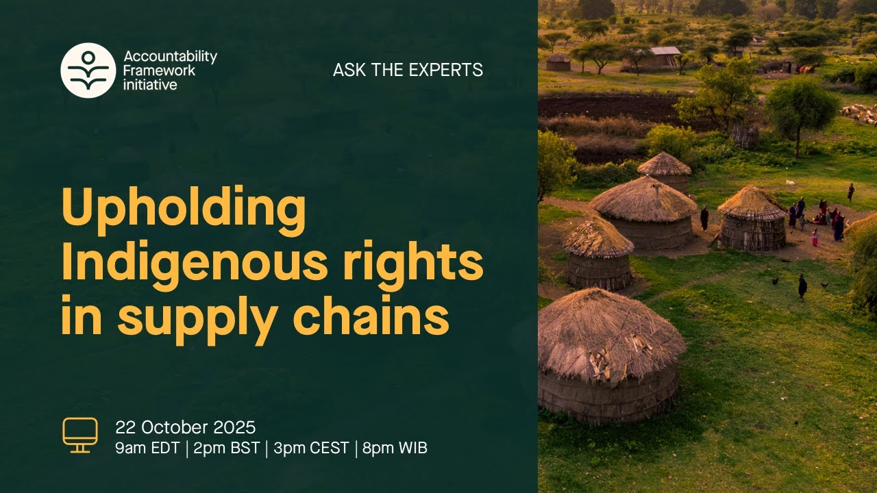 Ask the experts webinar: Upholding Indigenous rights in supply chains