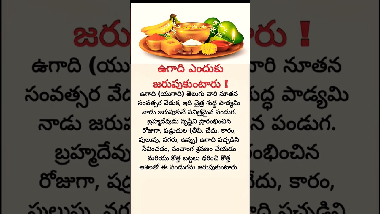 Amazing about ugadi Festival Special | Ugadi Wishes, Significance & Ugadi Pachadi Meaning Explained