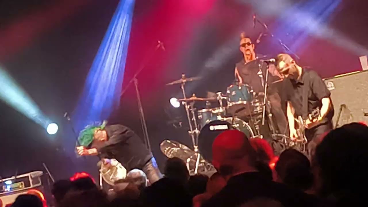 VID 20250405 220226 Demented Are Go