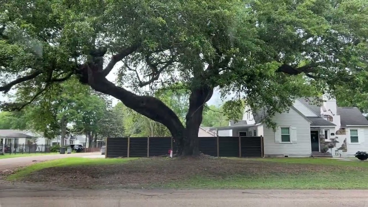 Claycut around Hundred Oaks in Baton Rouge, LA