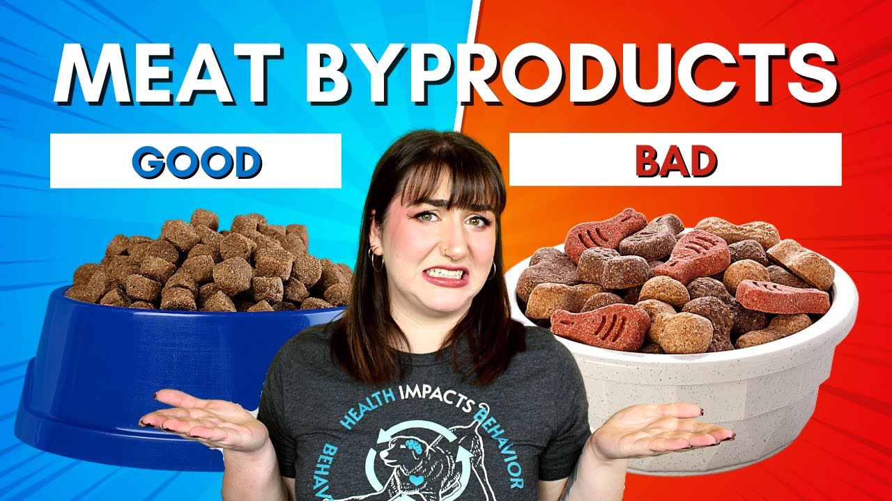 Все ли субпродукты в кормах для животных вредны? | Хорошие и плохие мясные субпродукты