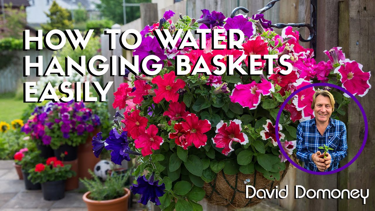 How to water hanging baskets easily