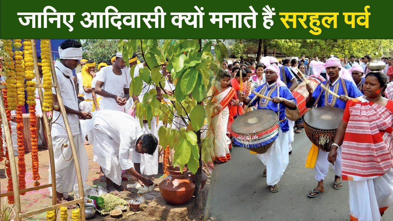 जानिए आदिवासी क्यों मनाते हैं सरहुल पर्व  I Trible festival  I Sarhul Parab
