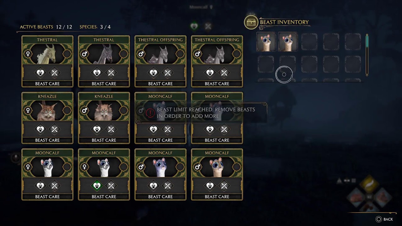 PS5 Live Gameplay Hogwarts Legacy Day 25