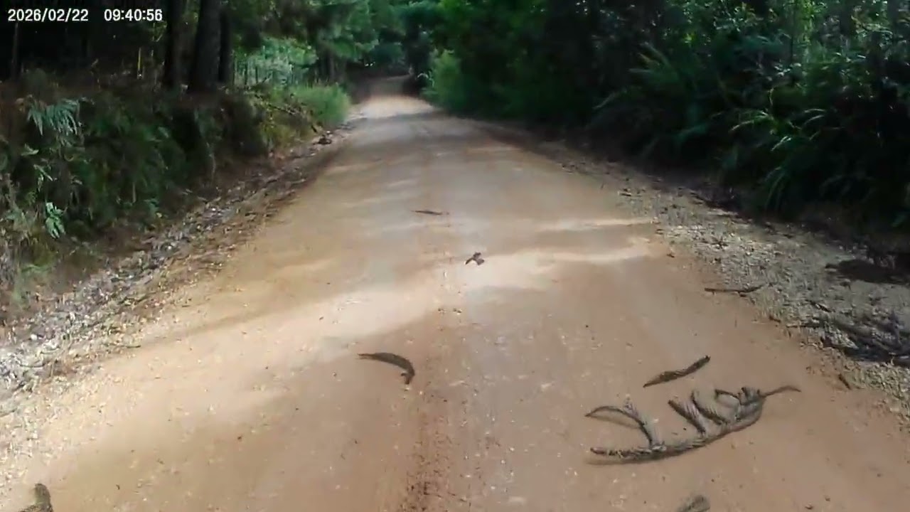 Pedal  rápido perto de Curitiba 