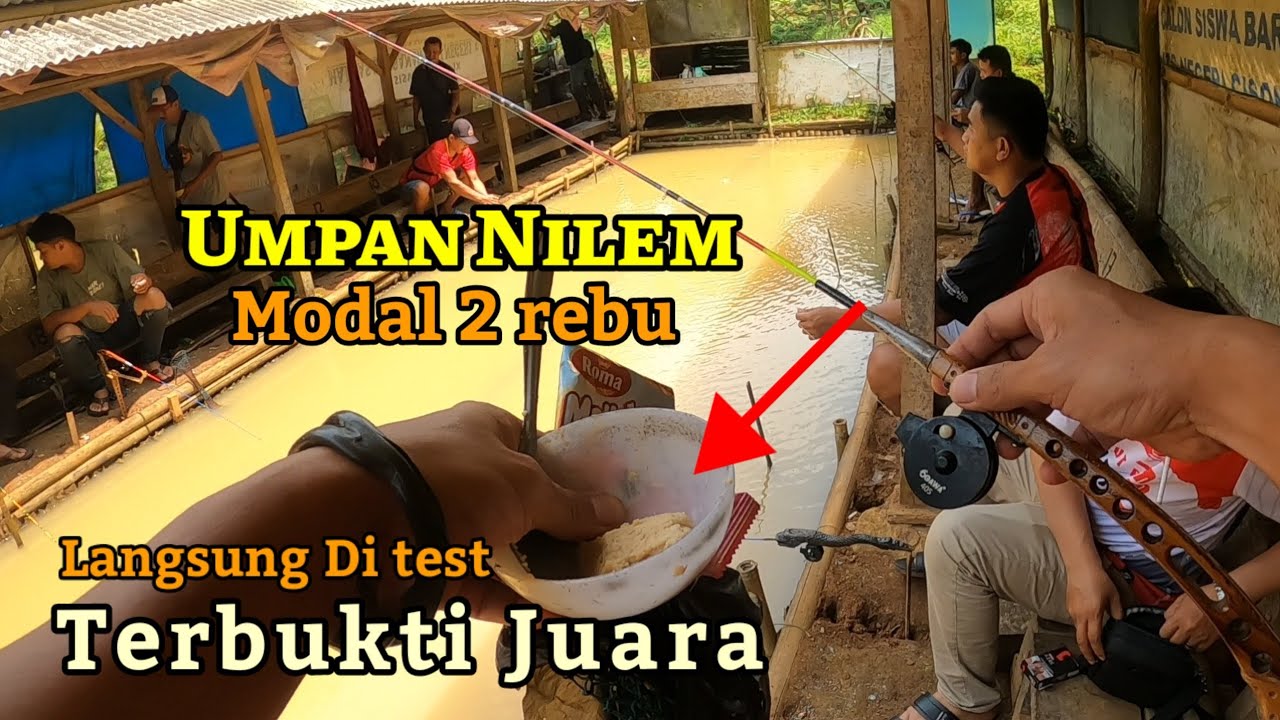 Sangat Jitu! Racikan Umpan Nilem murah modal 2 rebu bisa jadi juara.