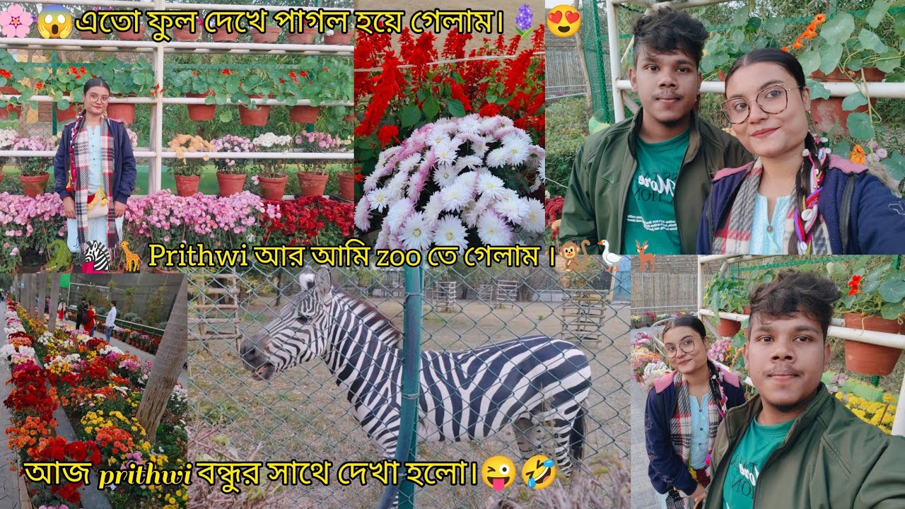 🐒🪿🦌Prithwi আর আমি zoo তে গেলাম।🦒🦓🐊 আজ prithwi বন্ধুর সঙ্গে দেখা হলো।😜🤣#candypriti #viral #youtube 