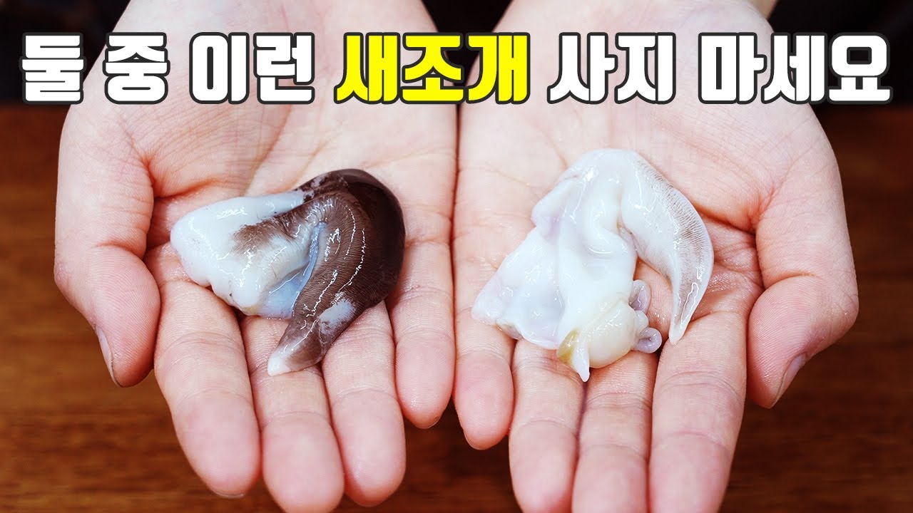 새조개 고르는 법!! 이것만 숙지하세요. 특징, 제철, 고르는 꿀팁까지!