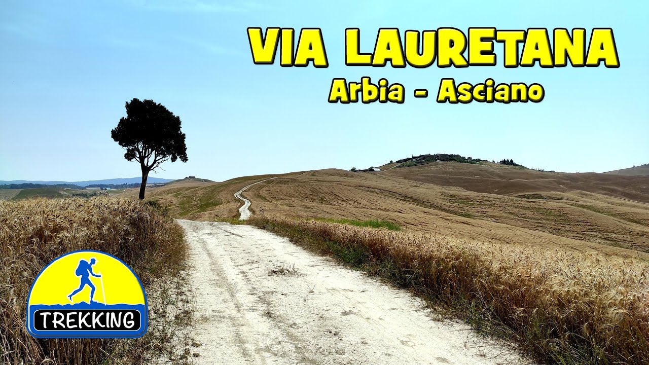 VIA LAURETANA TOSCANA: Da Arbia a Asciano - di Sergio Colombini (Video 4K)
